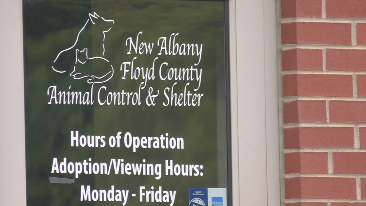Floyd County and New Albany consider animal services options